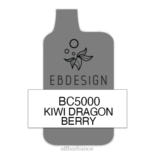 kiwi dragon berry 5000 consommateur - unique ELFBAR NX8V59