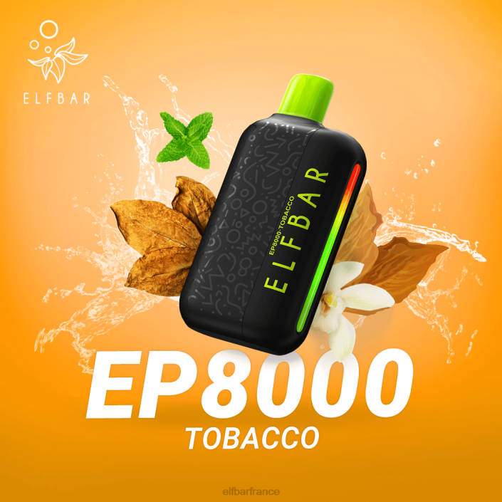 ELFBAR vape jetable nouvelles bouffées ep8000 2PRT61 le tabac